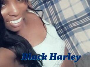 Black_Harley