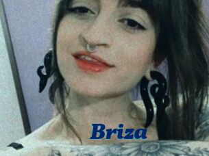 Briza