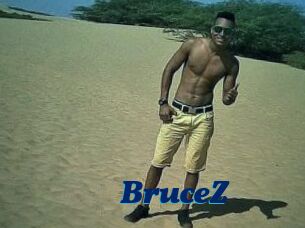 BruceZ