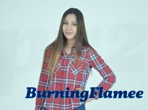 BurningFlamee