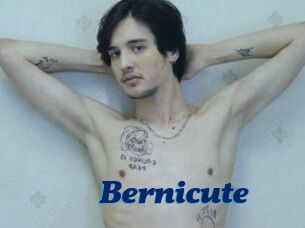 Bernicute