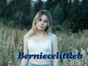 Berniecelittleb