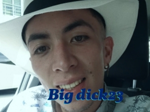 Big_dick23