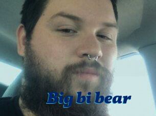 Big_bi_bear