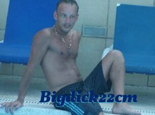 Bigdick22cm