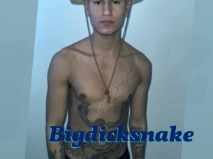 bigdicksnake Px 24