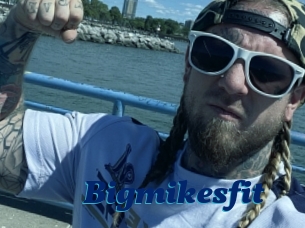 Bigmikesfit