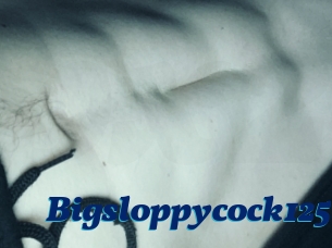 Bigsloppycock125