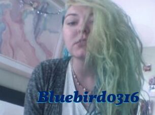 Bluebird0316