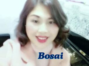 Bosai