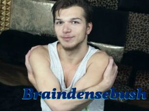 Braindensebush