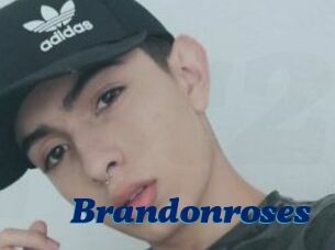 Brandonroses