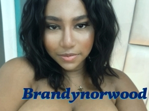 Brandynorwood