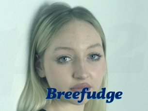 Breefudge