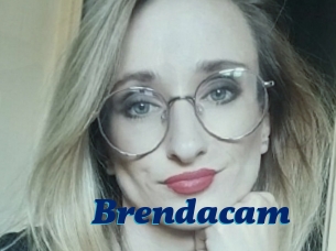 Brendacam