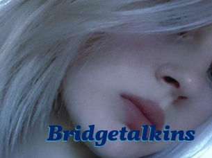 Bridgetalkins