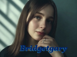 Bridgetgary