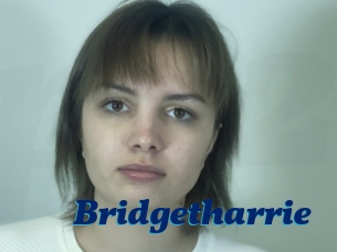 Bridgetharrie