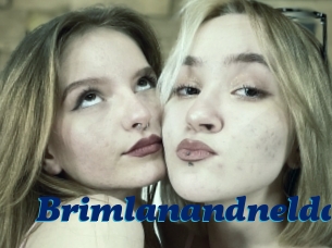 Brimlanandnelda