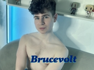 Brucevolt