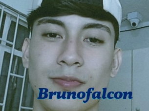 Brunofalcon