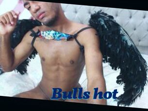 Bulls_hot