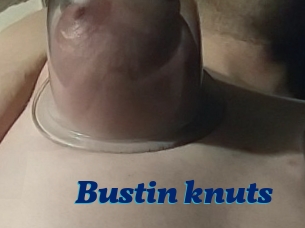 Bustin_knuts