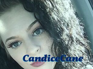 Candice_Cane