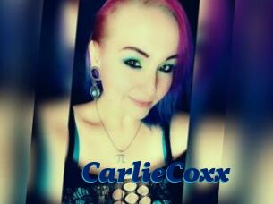 CarlieCoxx