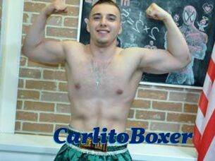 CarlitoBoxer