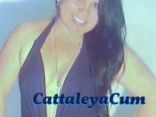 CattaleyaCum