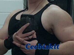 Ceebizkit
