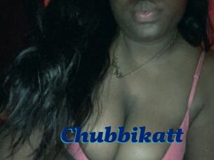 Chubbikatt