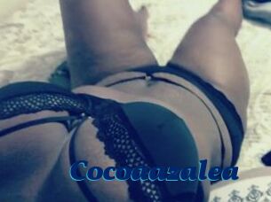 Cocoaazalea