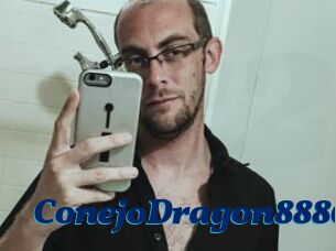 ConejoDragon8886