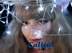 Calicat