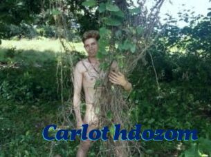 Carlot_hdozom