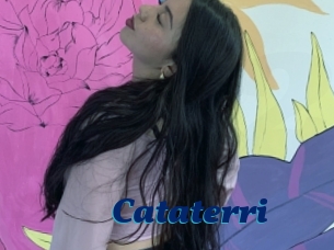 Cataterri