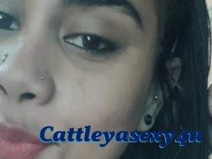 Cattleyasexy4u