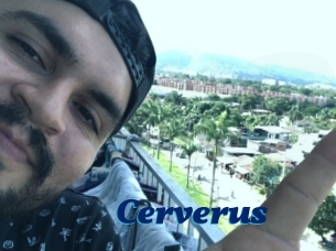 Cerverus