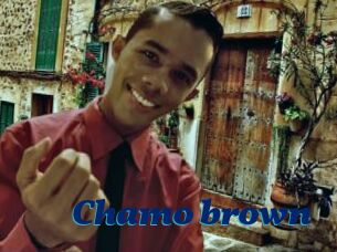 Chamo_brown