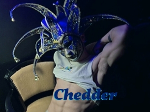 Chedder