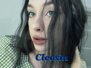 Cleosin
