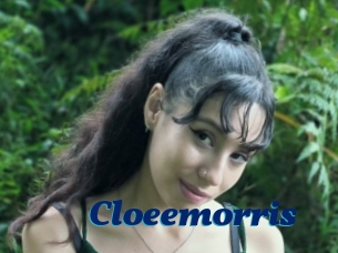 Cloeemorris