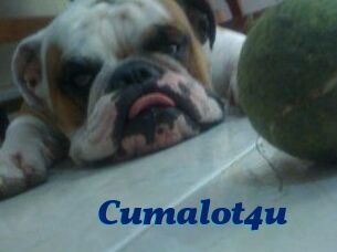 Cumalot4u