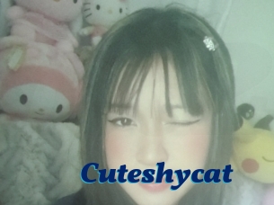 Cuteshycat