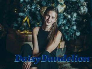 DaisyDandelion