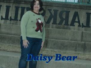 Daisy_Bear