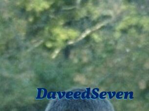 DaveedSeven