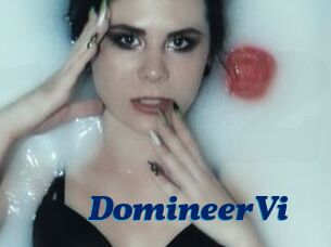 DomineerVi